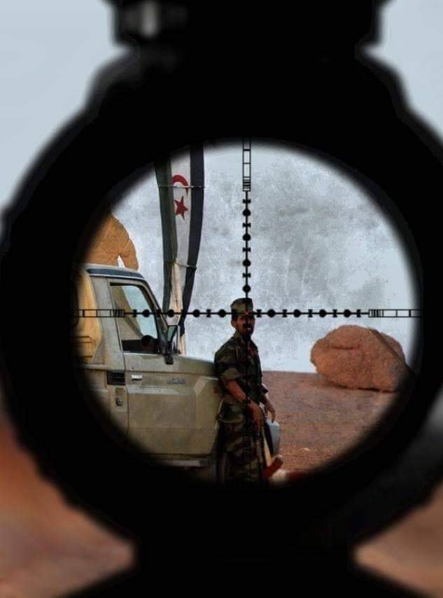 مشروع البوليساريو الانفصالي في طريقه الى التفكيك